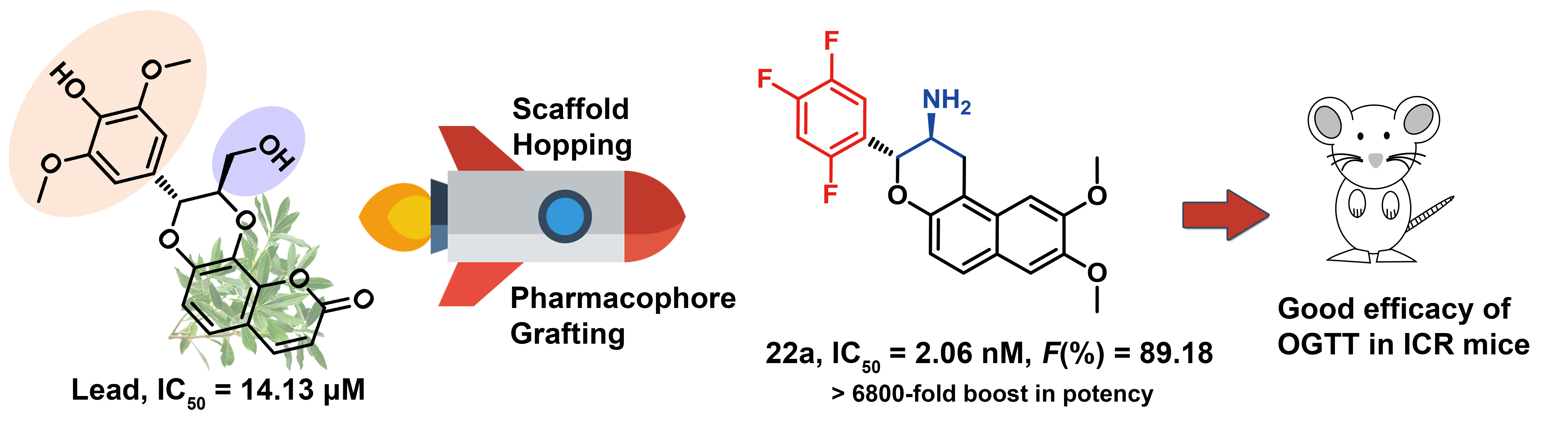 Rational Design of Natural Product-derived Analogs as Novel and Long-acting DPP-4 Inhibitors